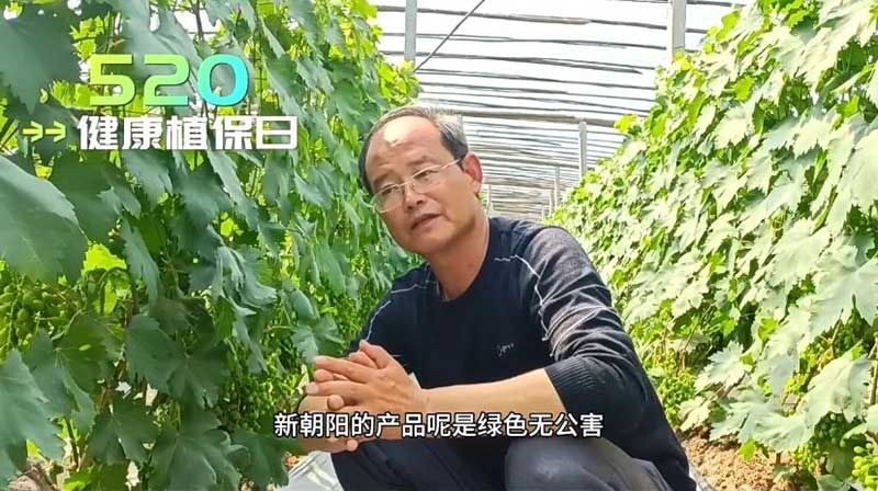 520健康植保日——擁抱綠色農(nóng)業(yè)，我們在行動